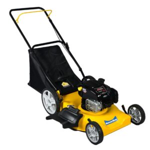 CORTADORA B&S 163CC RUEDA ALTA C/BO