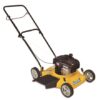 CORTADORA B&S 125CC -50CM SIN BOLSA