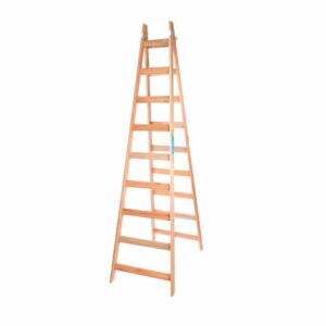 ESCALERA PINTOR ALPINA  9 ESC. 2,70